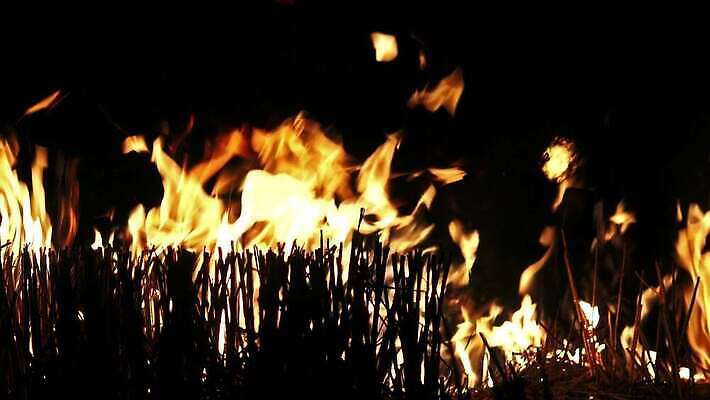 백그라운드 오렌지 모션 자연 벽지 불꽃 따뜻함 사람없음 빨간색 빛 노란색 검은색 힘 에너지 긴급 손전등 뜨거움 더위 야간 위험 모닥불 사건 묘사 벽난로 질감 매움 화재 연료 파열 연소 엘리먼트 점화 지옥 진짜 화상 4K HD MP4 해외동영상 클립영상 자연요소 컬러 컨셉 과일 불 날씨 조명 맛 상처 생태계 동영상 파일형식