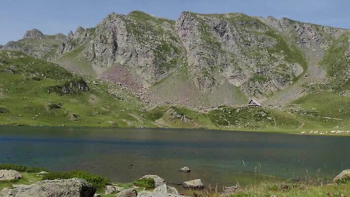 동물 공원 호수 밭 포유류 자연 하늘 산 풍경 초원 사람없음 야외 초록색 여름 농장 갈색 평화 환경 계곡 악단 그룹 군중 밤 방목 언덕 수유 시베리아 찰과상 4K MP4 해외동영상 클립영상 계절 공공시설 음악 컬러 컨셉 농업 사람 견과류 축산업 상처 생태계 동영상 파일형식