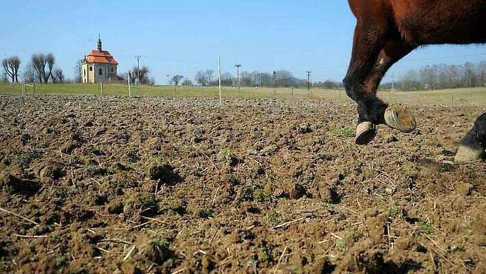 동물 감정 사람없음 야외 달리기 교회 힘 산책 업무 배고픔 묘사 언덕 꼬리 날카로움 먼지 점토 충격 갈기 조랑말 잡종 재촉 방목장 지진 집시 수평선 MOV 해외동영상 슬로모션 클립영상 컨셉 종교건축 모션 휴식 촬영기법 건물 말_동물 작업 자연재해 동영상 파일형식