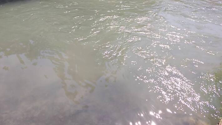 디자인 호수 물결 파도 바다 컬러 여행 백그라운드 패턴 모션 자연 표면 날씨 추상 사람없음 야외 초록색 물 파란색 빛 강 햇빛 태양 반사 환경 수중 젖음 흐름 추위 흰색 신선 투명 액체 떨어짐 시원함 질감 내추럴 4K MP4 해외동영상 클립영상 자연요소 컨셉 무늬 생태계 동영상 파일형식