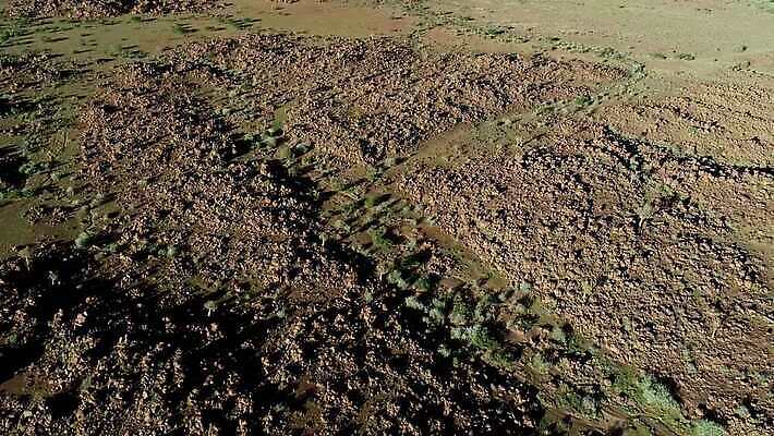 나무 식물 모션 아프리카 자연 건조 안테나 사람없음 야외 환경 황무지 클립 암초 동영상 내추럴 나미비아 남아프리카 생태학 조감도 HD MOV 해외동영상 클립영상 교육 나라 통신 생태계 파일형식