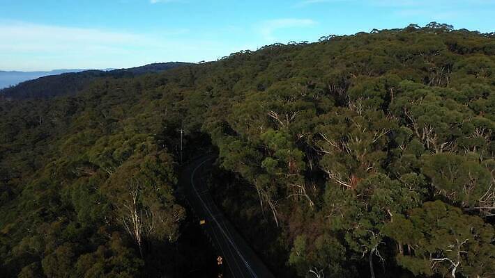나무 구름 계절 여행 자연 날씨 산 안테나 풍경 사람없음 야외 초록색 파란색 여행객 환경 계곡 추위 안개 흰색 호주 숲 땅 머리위 동영상 흐림 드론 내려보기 4K MP4 해외동영상 클립영상 자연요소 식물 컬러 통신 모션 사람 오세아니아 생태계 파일형식