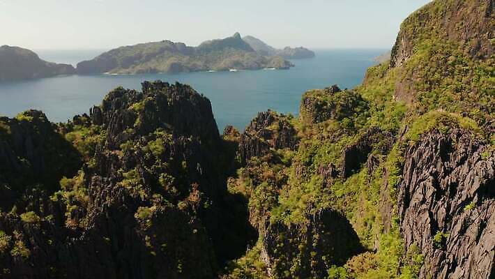 나무 아시아 바다 섬 자연 산 풍경 사람없음 야외 4K MOV 해외동영상 클립영상 식물 나라 생태계 동영상 파일형식