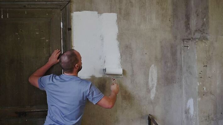 백인 직업 남자 벽 컬러 백그라운드 사다리 노동자 아파트 주택 한명 사람 성인 내부 장식 인테리어 페인트 방 장비 흰색 공구 잡기 붓 업무 수리 양동이 서비스 롤러 화가 DIY 건축업자 고립 업그레이드 캡모자 아크릴 4K MP4 해외동영상 클립영상 서양인 모자_잡화 1 디자인 건축 모션 재질 취미 건물 도구 작업 동영상 파일형식