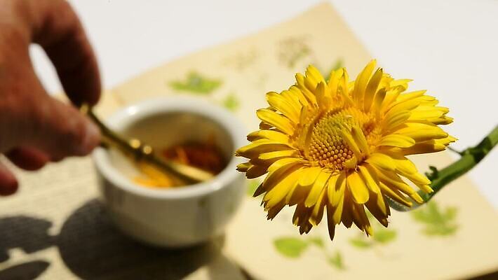 식물 손 꽃 한명 사발 허브 HD MOV 해외동영상 클립영상 1 사람 신체부위 사기그릇 동영상 파일형식