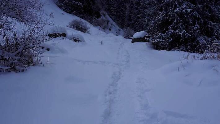 나무 계절 여행 백그라운드 크리스마스 겨울 자국 자연 하늘 날씨 산 풍경 경사 사람없음 목재 파란색 뷰티 환경 골짜기 냉동 추위 흰색 나뭇가지 소나무 숲 발자국 서리 장면 침엽수 전나무 내추럴 삼림지대 카자흐스탄 폭설 눈내림 겨울풍경 4K 알마티 MP4 해외동영상 클립영상 식물 기념일 아시아 컬러 재료 눈_날씨 자연재해 생태계 동영상 파일형식