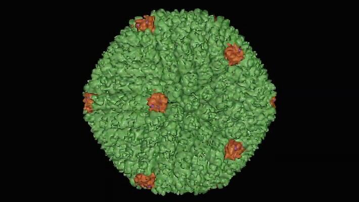 모델 컬러 백그라운드 패턴 표면 검은배경 봉투 사람없음 그래픽 초록색 컬러풀 약 3D 바이러스 질병 생물학 역동적 감염 미생물 애니메이션 기하학 고립 단백질 대칭 돌리기 에이즈 엘리먼트 규칙적 MP4 해외동영상 클립영상 교육 컨셉 무늬 의학 모션 생물 검은색 디지털합성 동영상 영양소 파일형식