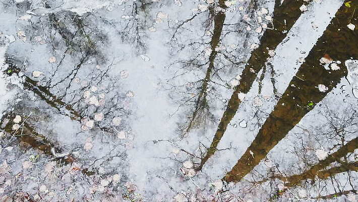 나무 식물 계절 호수 컬러 여행 자연 풍경 사람없음 야외 목재 물 컬러풀 반사 추위 가을 흰색 물방울 나뭇가지 시골 연못 원형 개울 황금 떨어짐 숲 시력 러시아 에메랄드 웅덩이 청록색 내추럴 땅바닥 눈내림 환상 MOV 해외동영상 클립영상 자연요소 도형 유럽 컨셉 재료 바닥 눈_날씨 강 보석 생태계 동영상 파일형식