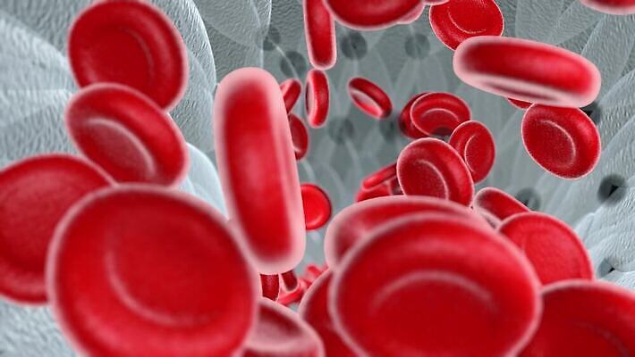 과학 미래 세포 엑스레이 나선형 건강 사람 사람없음 치료 약 디지털 망 혈액 진화 바이러스 질병 생명공학 생물학 회전 감염 미생물 염색체 암 물리학 복제 엘리먼트 유전 폴리곤 4K MP4 해외동영상 클립영상 교육 컨셉 무늬 의학 생물 소방 동영상 물리 파일형식