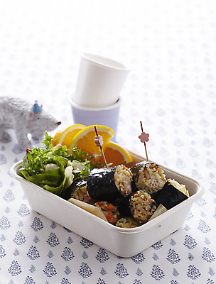 포토 JPG 사람없음 소풍 김밥 도시락 볶음밥 김말이 도시락통 이쑤시개장식 국내포토 음식 장식 야외활동 용기_그릇 이쑤시개 파일형식