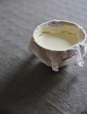 포토 JPG 식재료 회색배경 실내 사람없음 면포 콩물 국내포토 백그라운드 내부 회색 파일형식