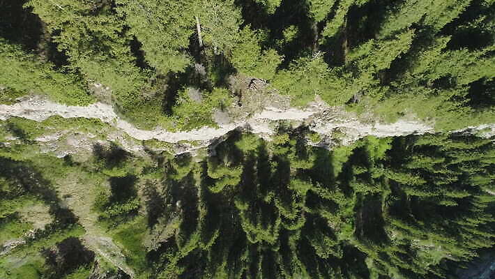 나무 자연 산 안테나 경사 사람없음 세로 숲 언덕 상승 침엽수 드론 키르기스스탄 4K 설정숏 MOV 해외동영상 클립영상 식물 컨셉 통신 촬영기법 생태계 동영상 중앙아시아 파일형식