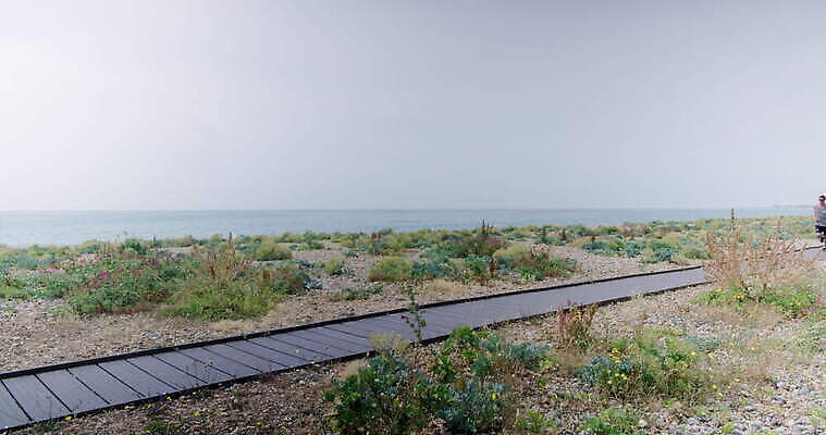 스포츠 바다 영국 건강 한명 야외 달리기 조깅 운동 산책로 서식스 4K MOV 해외동영상 클립영상 1 유럽 길 모션 사람 동영상 파일형식