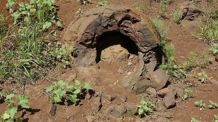 모양 교육 모래 과학 공 파충류 자연 산 사람없음 빨간색 마을 젖음 원형 둥지 신비 광석 철 공룡 러시아 고생물 선사시대 거인 발견 고고학 랜드마크 원정 지질학 MOV 해외동영상 클립영상 도형 동물 유럽 컬러 컨셉 생물 역사 생태계 동영상 파일형식