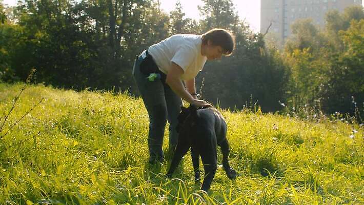 나무 동물 공원 여자 꽃 행복 밭 자연 함께함 사랑 한명 사람 야외 초록색 친구 반려동물 귀여움 맑음 검은색 우정 기쁨 만지기 개 주인 송곳니 내추럴 돌봄 복종 충실 타격 4K MOV 해외동영상 클립영상 식물 1 공공시설 감정 컬러 컨셉 농업 포유류 관계 모션 날씨 치아 생태계 동영상 파일형식