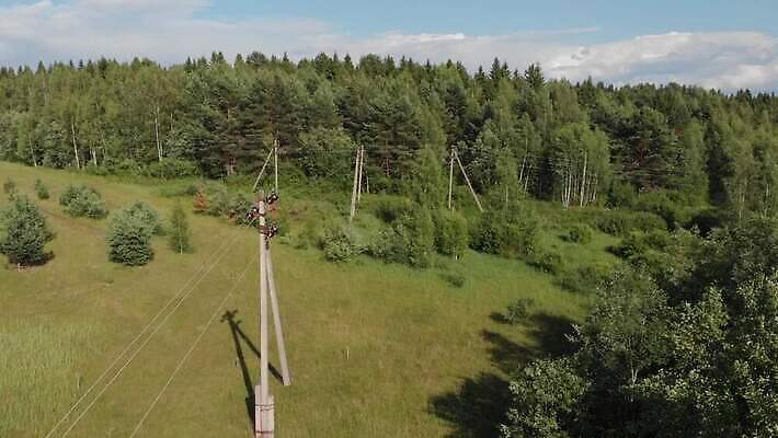 나무 식물 산업 선 안테나 풍경 사람없음 목재 초록색 힘 장비 에너지 시골 숲 전염 철사 볼트 봉 공학 공터 분배 전압 4K MOV 해외동영상 클립영상 교육 컬러 재료 통신 공구 질병 감염 동영상 파일형식