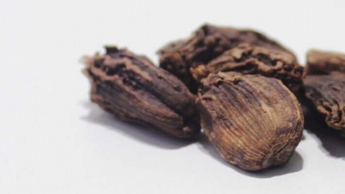 식물 조각 백그라운드 과일 재료 건조 실내 건강 요리 씨앗 동양인 사람없음 약 갈색 검은색 흰색 양념 조미료 닫기 맛 자르기 인도인 허브 향신료 오브젝트 싱글 매움 정사각형 향기 아로마 향료 향 카레 흙더미 고립 꼬투리 마살라 이국적 MOV 해외동영상 클립영상 도형 외국인 음식 컬러 컨셉 의학 모션 인종 내부 흙 냄새 동영상 향미료 파일형식 더미