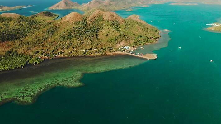나무 바다 섬 자연 산 사람없음 야외 오세아니아 4K MOV 해외동영상 클립영상 식물 나라 생태계 동영상 파일형식