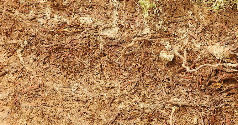 모양 디자인 호수 컬러 조각 과학 백그라운드 패턴 자연 산 사람없음 장식 물 갈색 금속 수확 바위 연못 거친 동굴 크리스탈 광석 보석 철 발굴 달빛 언덕 질감 꼬리 날것 대리석 다이아몬드 치수 깊이 지질학 호러 화강암 4K MOV 해외동영상 클립영상 자연요소 교육 무늬 농업 재료 재질 달 암석 돌_바위 생태계 공포 동영상 파일형식