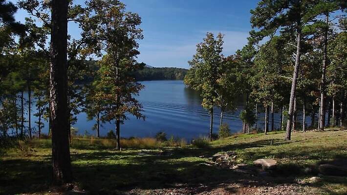 나무 자연 사람없음 야외 물 숲 장면 내추럴 MOV 해외동영상 클립영상 자연요소 식물 생태계 동영상 파일형식