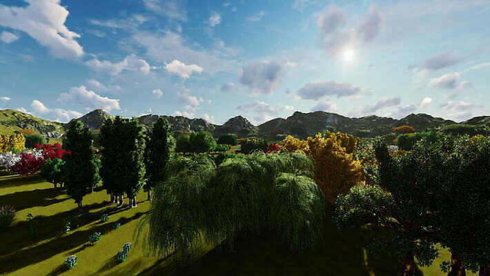 나무 식물 공원 자연 사람없음 야외 숲 4K MOV 해외동영상 클립영상 공공시설 생태계 동영상 파일형식