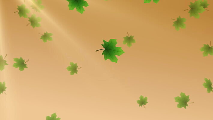 계절 행복 백그라운드 단풍 잎 텍스트 자연 휴가 사람없음 야외 그래픽 초록색 파란색 햇빛 봄 활발 변화 우아함 떨어짐 심플 활기 크로마키 4K 화면전환 MOV 해외동영상 클립영상 식물 감정 컬러 컨셉 태양 생태계 동영상 파일형식