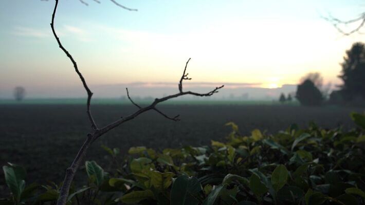 나무 식물 구름 실루엣 바다 밭 농업 오렌지 자연 하늘 아침 바람 휴가 파노라마 풍경 초원 사람없음 야외 초록색 물 여름 빛 햇빛 태양 노란색 마을 일출 환경 맑음 황혼 일몰 가을 시골 저녁 땅 장면 내추럴 밭일 수평선 4K MP4 해외동영상 클립영상 주간 자연요소 계절 산업 컬러 과일 날씨 촬영기법 노을 야간 생태계 동영상 파일형식