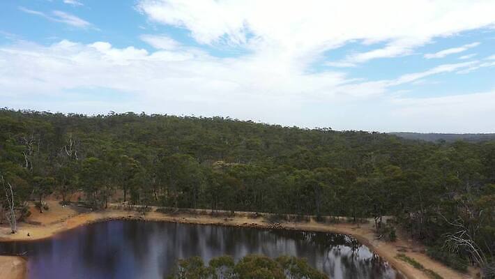 나무 식물 구름 호수 모래 여행 잎 자연 하늘 날씨 건조 안테나 풍경 사람없음 야외 초록색 물 여름 파란색 반사 갈색 환경 흰색 저수지 호주 댐 가뭄 동영상 드론 4K MP4 해외동영상 클립영상 자연요소 계절 공공시설 컬러 통신 오세아니아 생태계 파일형식