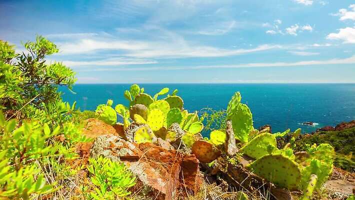 나무 구름 유럽 바다 컬러 여행 요트 모션 자연 하늘 휴가 휴식 산 선인장 항해 풍경 사람없음 야외 물 여름 파란색 태양 침묵 프랑스 바위 시간 소나무 만 지중해 기중기 함선 장면 석호 많음 수평선 4K 타임랩스 MP4 해외동영상 클립영상 자연요소 식물 계절 나라 컨셉 배_교통 촬영기법 소리 돌_바위 중장비 생태계 동영상 파일형식