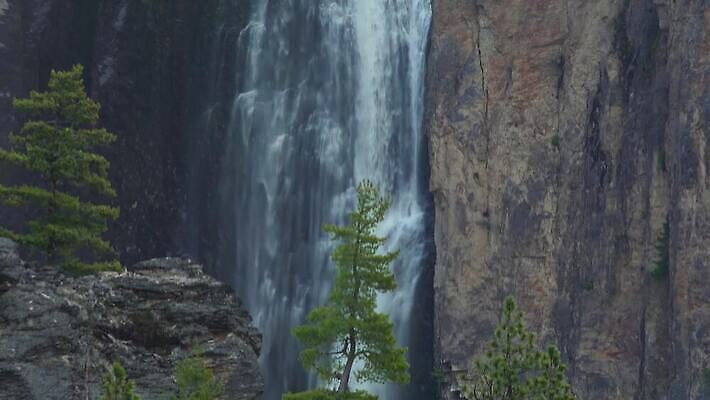 나무 자연 산 사람없음 야외 물 강 골짜기 폭포 흐름 신선 개울 숲 삼림지대 워싱턴 전국 지질학 로키산맥 4K MP4 해외동영상 클립영상 자연요소 식물 교육 컨셉 미국 생태계 동영상 파일형식