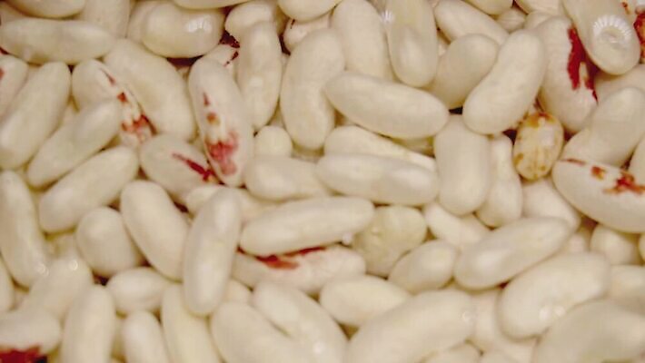 식물 전통 음식 농업 다이어트 채소 재료 콩 주택 건강 병아리 요리 씨앗 사람없음 물 주방 식사 거품 뜨거움 맛 수프 냄비 더위 수증기 난로 먹기 준비 유기농 완두콩 알맹이 방광 끓이기 대두 방법 병아리콩 삶기 영양분 채식주의자 많음 비건 MOV 해외동영상 클립영상 자연요소 웰빙 산업 컨셉 모션 조류 날씨 곡류 건물 비뇨기관 솥 난방기 채식 동영상 파일형식