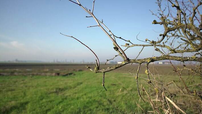 나무 계절 유럽 여행 백그라운드 겨울 밭 자연 하늘 날씨 안테나 파노라마 풍경 사람없음 야외 물 파란색 태양 마을 환경 계곡 맑음 추위 시골 숲 땅 언덕 서리 장면 내추럴 넘어짐 4K MP4 해외동영상 클립영상 자연요소 식물 나라 컬러 농업 통신 모션 촬영기법 생태계 동영상 파일형식