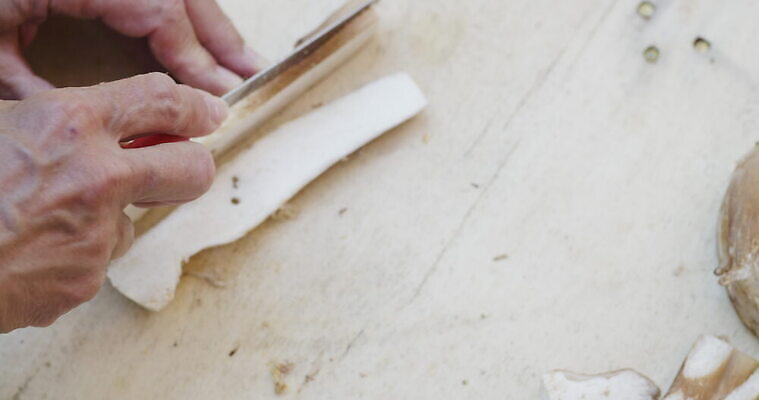 손 여자 음식 사람없음 버섯 신선 그룹 칼 작음 큼 왕 자르기 청소 준비 곰팡이 그물버섯 번 페니 많음 4K MOV 해외동영상 클립영상 빵 컨셉 모션 사람 신체부위 동전 크기 동영상 파일형식