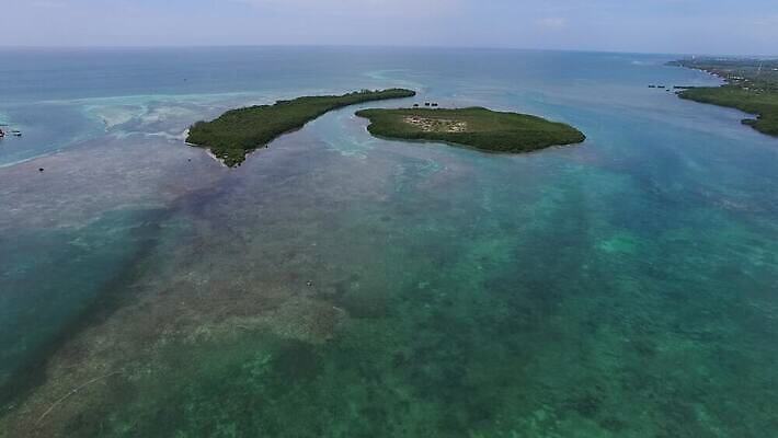 섬 자연 열쇠 안테나 풍경 사람없음 야외 물 여름 파란색 맑음 황무지 드론 플로리다 4K MOV 해외동영상 클립영상 자연요소 계절 컬러 통신 날씨 미국 생태계 동영상 파일형식