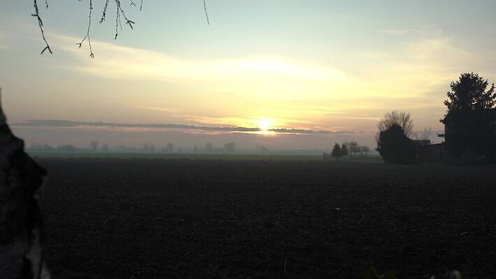 나무 식물 구름 실루엣 바다 밭 농업 오렌지 자연 하늘 아침 바람 휴가 파노라마 풍경 초원 사람없음 야외 초록색 물 여름 빛 햇빛 태양 노란색 마을 일출 환경 맑음 황혼 일몰 가을 시골 저녁 땅 장면 내추럴 밭일 수평선 4K MP4 해외동영상 클립영상 주간 자연요소 계절 산업 컬러 과일 날씨 촬영기법 노을 야간 생태계 동영상 파일형식