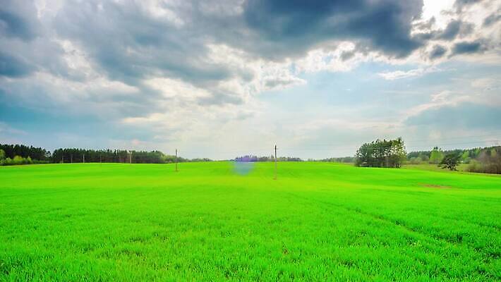 계절 밭 자연 하늘 날씨 잔디 사람없음 야외 초록색 빛 햇빛 태양 농장 환경 어둠 봄 시골 땅 장면 폭풍 내추럴 넘어짐 뇌우 폭풍우 수평선 4K 타임랩스 MP4 해외동영상 클립영상 자연요소 식물 컬러 농업 모션 촬영기법 비_날씨 자연재해 생태계 동영상 파일형식
