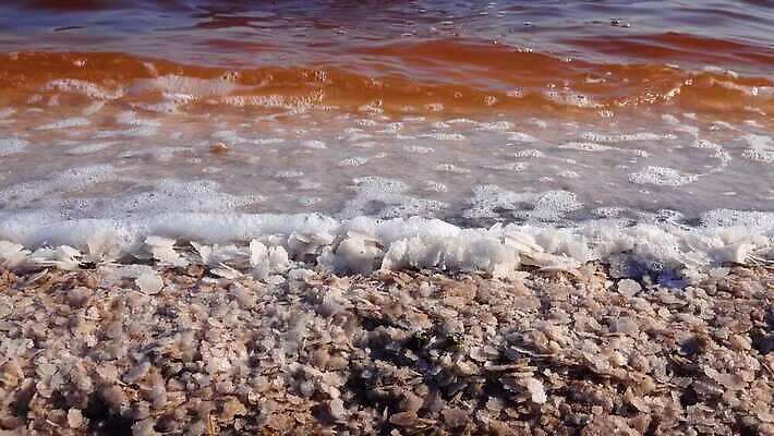 호수 바다 백그라운드 자연 사람없음 야외 물 흰색 약초 크리스탈 휴양지 진흙 결정체 지구온난화 내추럴 우크라이나 짠맛 오데사 4K MP4 해외동영상 클립영상 자연요소 유럽 컬러 장소 풀_식물 맛 광석 생태계 동영상 기후변화 파일형식