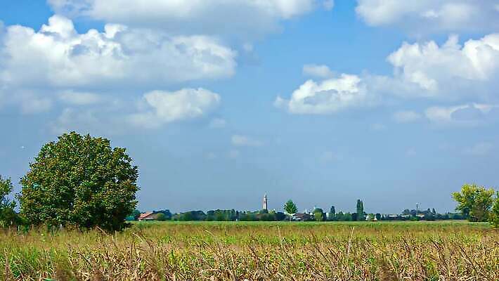 나무 식물 계절 공원 여행 백그라운드 잎 밭 농업 자연 하늘 풍경 초원 사람없음 야외 초록색 여름 파란색 빛 농작물 햇빛 태양 농장 농경지 노란색 환경 맑음 일몰 수확 가을 시골 황금 숲 낟알 땅 밀 장면 내추럴 밭일 4K MP4 해외동영상 클립영상 자연요소 공공시설 산업 컬러 날씨 곡류 노을 생태계 동영상 파일형식