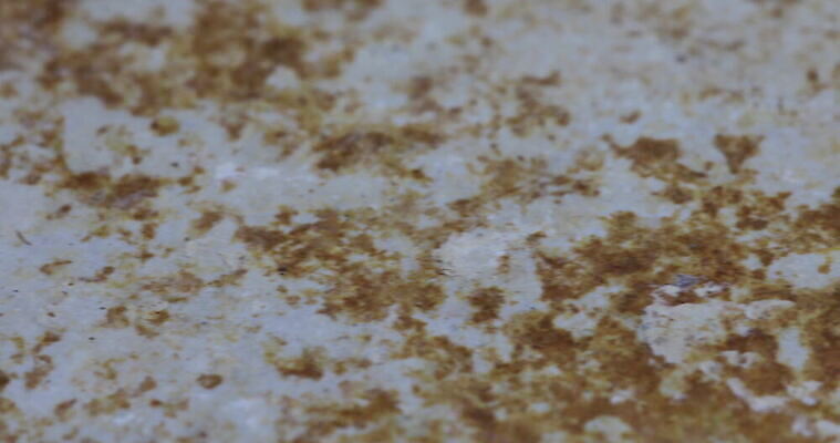 접시 백그라운드 패턴 자연 사람없음 야외 갈색 얼룩 낟알 철 질감 암초 석회암 채석 바이에른 막 4K MOV 해외동영상 클립영상 식기 컬러 무늬 독일 암석 생태계 동영상 파일형식