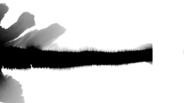 모양 종이 컬러 백그라운드 패턴 추상 수채화 잉크 건조 미술 사람없음 물 검은색 페인트 놀람 펼침 젖음 흐름 흰색 점 원형 그리기 액체 혈액 떨어짐 정상 혼합 질감 쏟아짐 파열 내추럴 고립 그런지 타격 화학물질 MOV 해외동영상 클립영상 자연요소 도형 감정 컨셉 무늬 모션 문화예술 표정 화학 동영상 파일형식