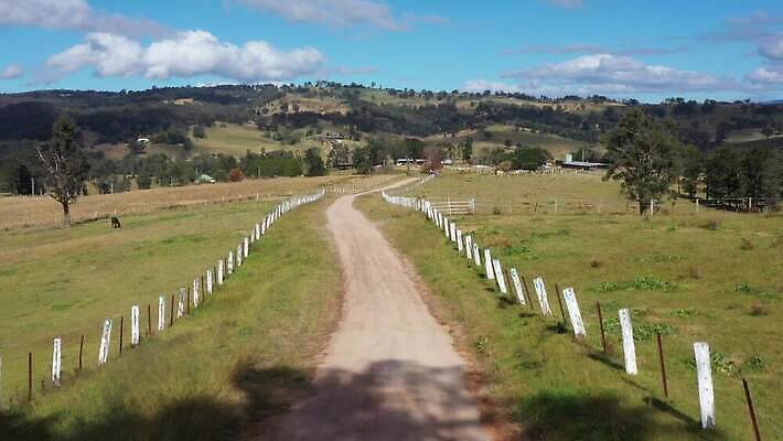 나무 동물 구름 도로 길 여행 잎 농업 자연 하늘 산 안테나 풍경 사람없음 야외 건물 초록색 여름 파란색 울타리 농장 갈색 환경 계곡 가축 흰색 호주 숲 언덕 동영상 드론 밭일 선로 4K MP4 해외동영상 클립영상 자연요소 식물 건축물 계절 산업 컬러 통신 교통시설 담장 오세아니아 생태계 파일형식