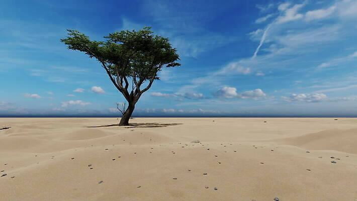 나무 식물 외관 공원 야생동물 모래 컬러 여행 백그라운드 아프리카 자연 하늘 휴가 산 손바닥 사람없음 야외 파란색 태양 맑음 미국 사막 황무지 만화 사파리 케냐 내추럴 아카시아 나미비아 니제르 사바나 전국 벡터 4K MOV 해외동영상 클립영상 자연요소 동물 손 공공시설 나라 북아메리카 날씨 생태계 동영상 남아프리카 파일형식