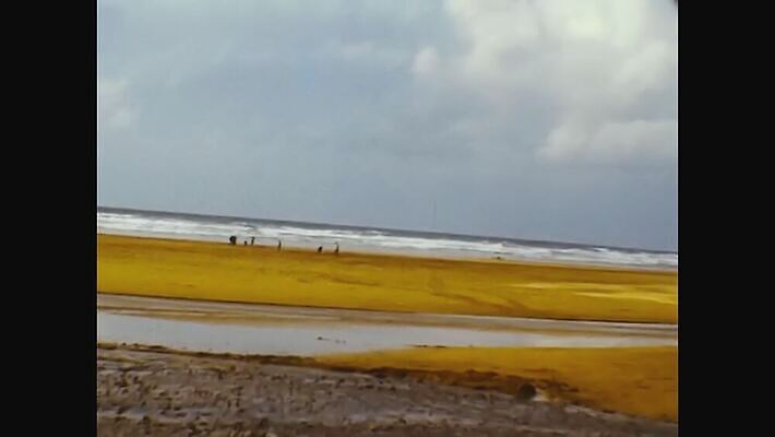구름 외관 바다 여행 백그라운드 자연 하늘 잉글랜드 풍경 사람없음 야외 초록색 물 여름 파란색 빛 태양 일몰 수확 골동품 거친 역사 클래식 땅 필름 영화 향수 문서 복고 영사기 동영상 종료 구식 보관소 아마추어 옛날 콘월 4K MOV 해외동영상 클립영상 자연요소 계절 컬러 컨셉 농업 문화예술 영국 노을 화장품 저장 생태계 파일형식