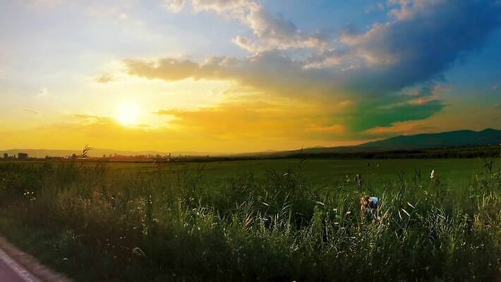 나무 식물 계절 아시아 길 백그라운드 잎 밭 농업 교통시설 자연 하늘 동양인 풍경 초원 사람없음 야외 파란색 컬러풀 농장 농경지 일출 환경 일몰 흙 운전 성장 시골 신선 낟알 땅 유기농 내추럴 4K MP4 해외동영상 클립영상 웰빙 나라 산업 컬러 교통 모션 인종 노을 시설 생태계 동영상 파일형식