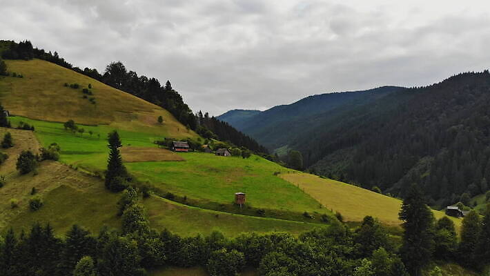 나무 여행 자연 하늘 산 안테나 파노라마 사람없음 야외 목재 초록색 파란색 햇빛 환경 계곡 맑음 일몰 시골 소나무 숲 언덕 장면 루마니아 내추럴 산악지대 항공촬영 우크라이나 절정 조감도 트란실바니아 4K MOV 해외동영상 클립영상 식물 유럽 뷰포인트 컬러 재료 통신 날씨 촬영기법 태양 노을 생태계 동영상 파일형식