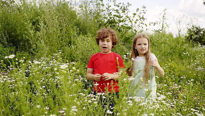 백인 커플 공원 꽃잎 꽃 어린이 백그라운드 컨셉 꽃무늬 밭 자연 휴가 풍경 소년 잔디 초원 두명 여름 친구 금발 햇빛 산책 벚꽃 분노 던지기 데이지 캐모마일 MOV 해외동영상 클립영상 서양인 식물 헤어스타일 계절 공공시설 남자 감정 무늬 농업 관계 모션 휴식 사람 태양 허브 생태계 동영상 파일형식