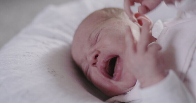 백인 여자 어린이 가정 가족 잉글랜드 실내 한명 소녀 하이앵글 기댐 희망 외침 슬픔 아기 좌절 요크셔테리어 시작 돌봄 천진난만 4K MOV 해외동영상 클립영상 서양인 1 감정 뷰포인트 컨셉 관계 모션 영국 사람 내부 소리 테리어 동영상 파일형식