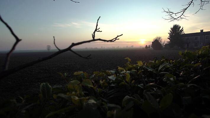 나무 식물 구름 실루엣 바다 밭 농업 오렌지 자연 하늘 아침 바람 휴가 파노라마 풍경 초원 사람없음 야외 초록색 물 여름 빛 햇빛 태양 노란색 마을 일출 환경 맑음 황혼 일몰 가을 시골 저녁 땅 장면 내추럴 밭일 수평선 4K MP4 해외동영상 클립영상 주간 자연요소 계절 산업 컬러 과일 날씨 촬영기법 노을 밤 야간 생태계 동영상 파일형식