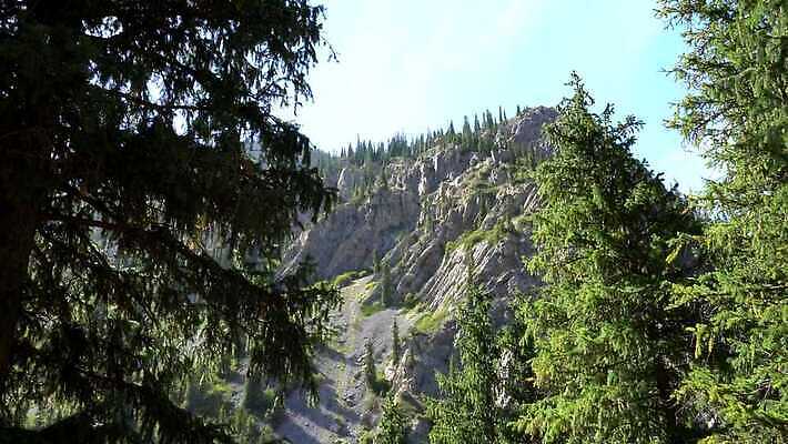 나무 구름 공원 아시아 호수 여행 자연 하늘 휴가 산 안테나 풍경 사람없음 야외 초록색 물 여름 태양 소나무 보트 숲 쌍둥이 언덕 드론 전국 카자흐스탄 가문비나무 4K 알마티 MP4 해외동영상 클립영상 자연요소 식물 계절 공공시설 나라 컬러 통신 가족 배 생태계 동영상 선박 파일형식