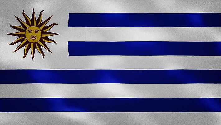 디자인 여행 백그라운드 이동 모션 날리기 바람 사랑 사람없음 빛 자유 깃발 직물 우승 만화 심볼 디지털합성 사인 질감 순환 애니메이션 애국심 엘리먼트 우루과이 필승 4K MOV 해외동영상 클립영상 자연요소 감정 컨셉 날씨 최고 남아메리카 동영상 파일형식